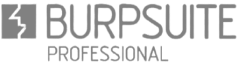 Burp-suite-removebg-preview 1