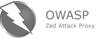 Owasp-removebg-preview